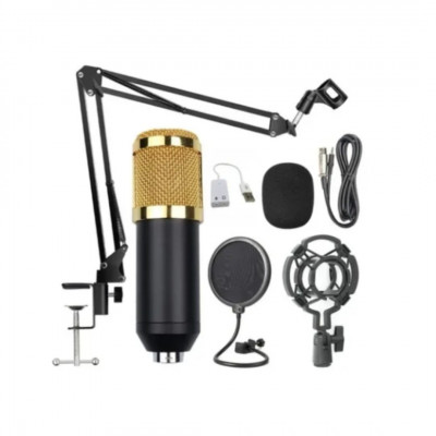Set de micrófono con brazo